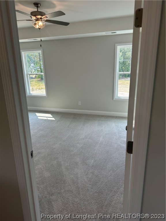 192 Rocking Canal Place Erwin, NC 28339 - Photo 22 of 38 Gallery Image 22