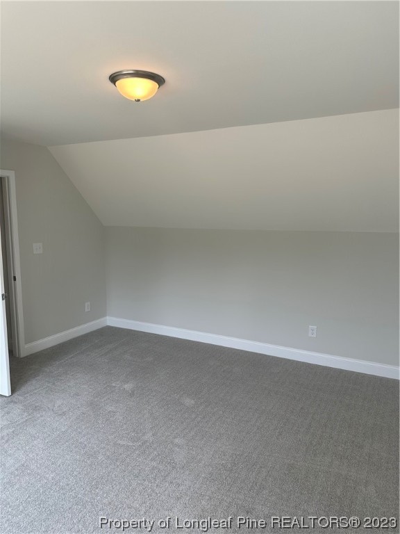 192 Rocking Canal Place Erwin, NC 28339 - Photo 33 of 38 Gallery Image 33