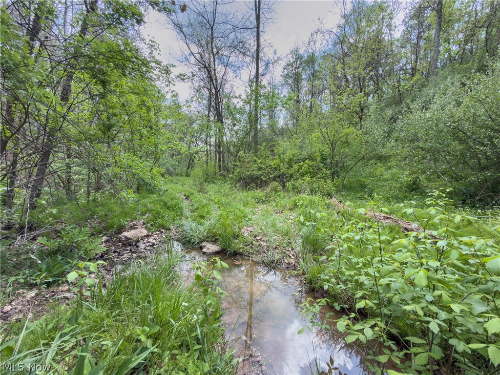 Beardmore Road Wingett Run, OH 45789 - Photo 34 of 43