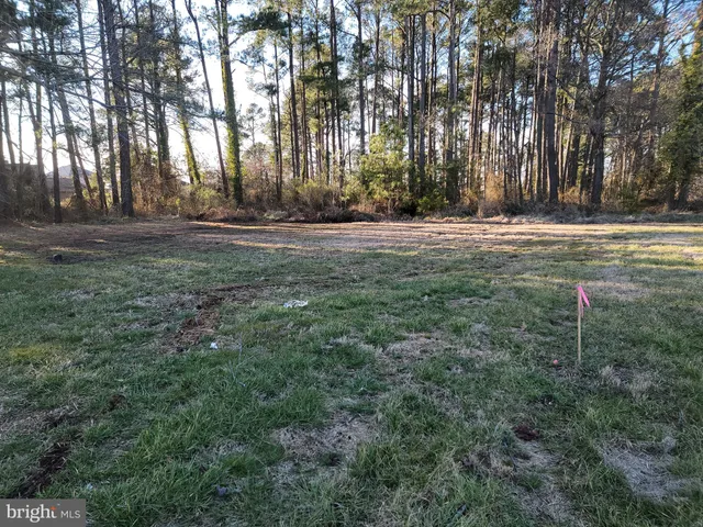 a view of outdoor space with trees