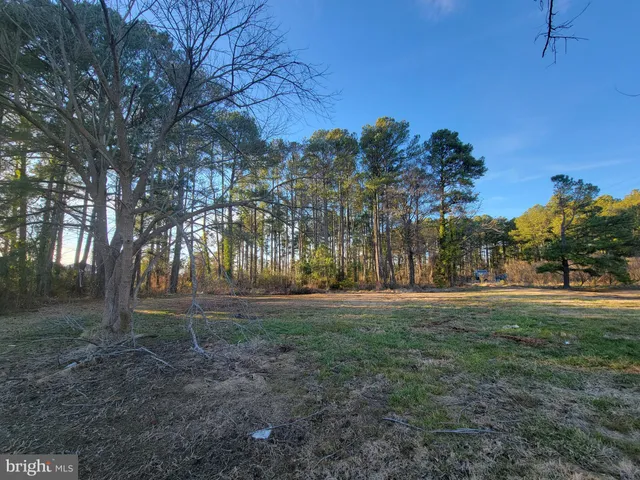 a backyard of apartments with large trees