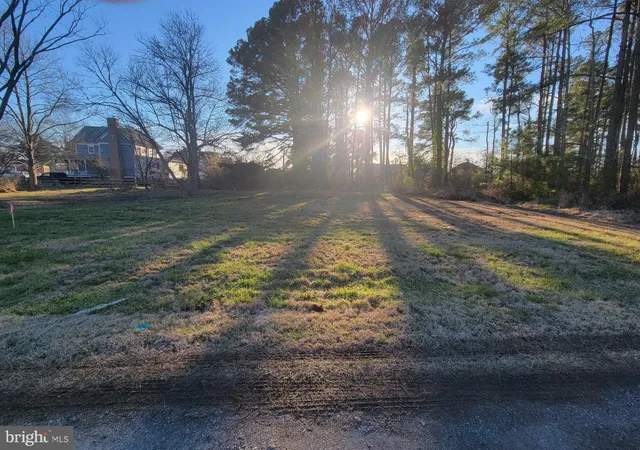 a view of a yard with large trees
