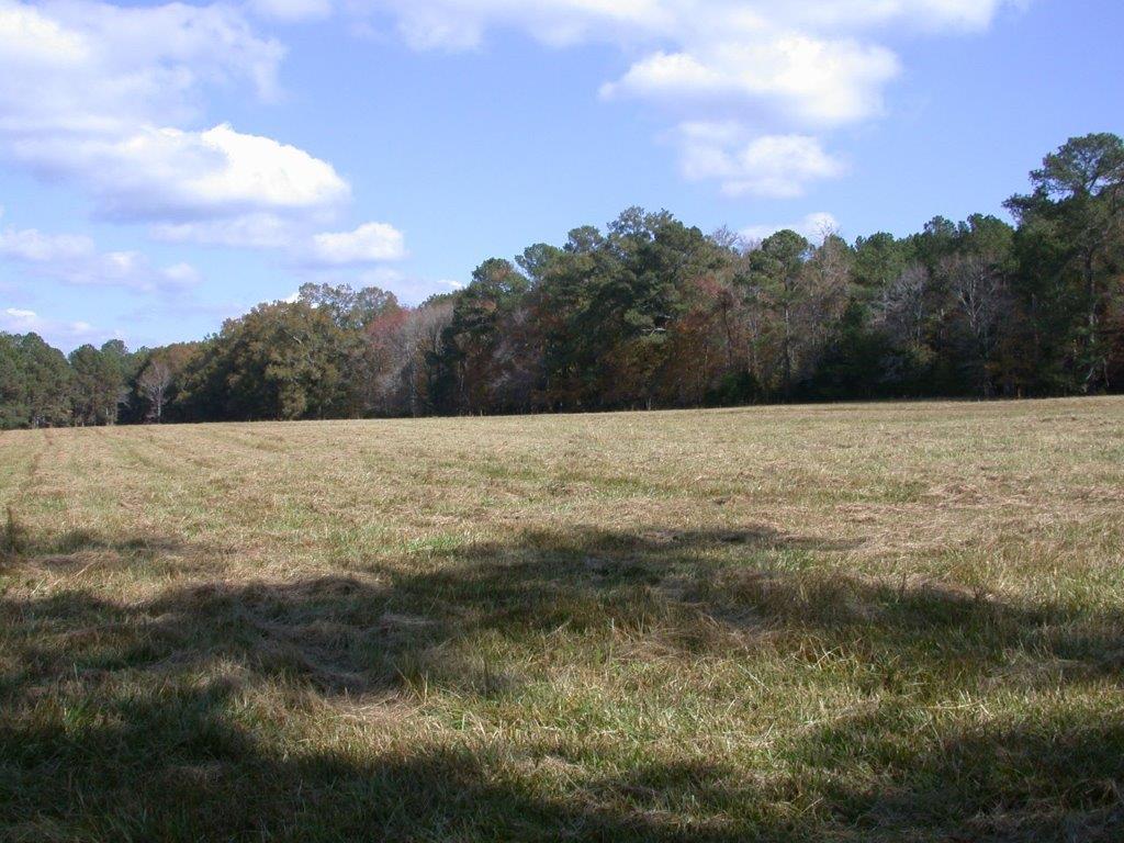- Larkin Rice Road Saluda, SC 29138 - Photo 56 of 70