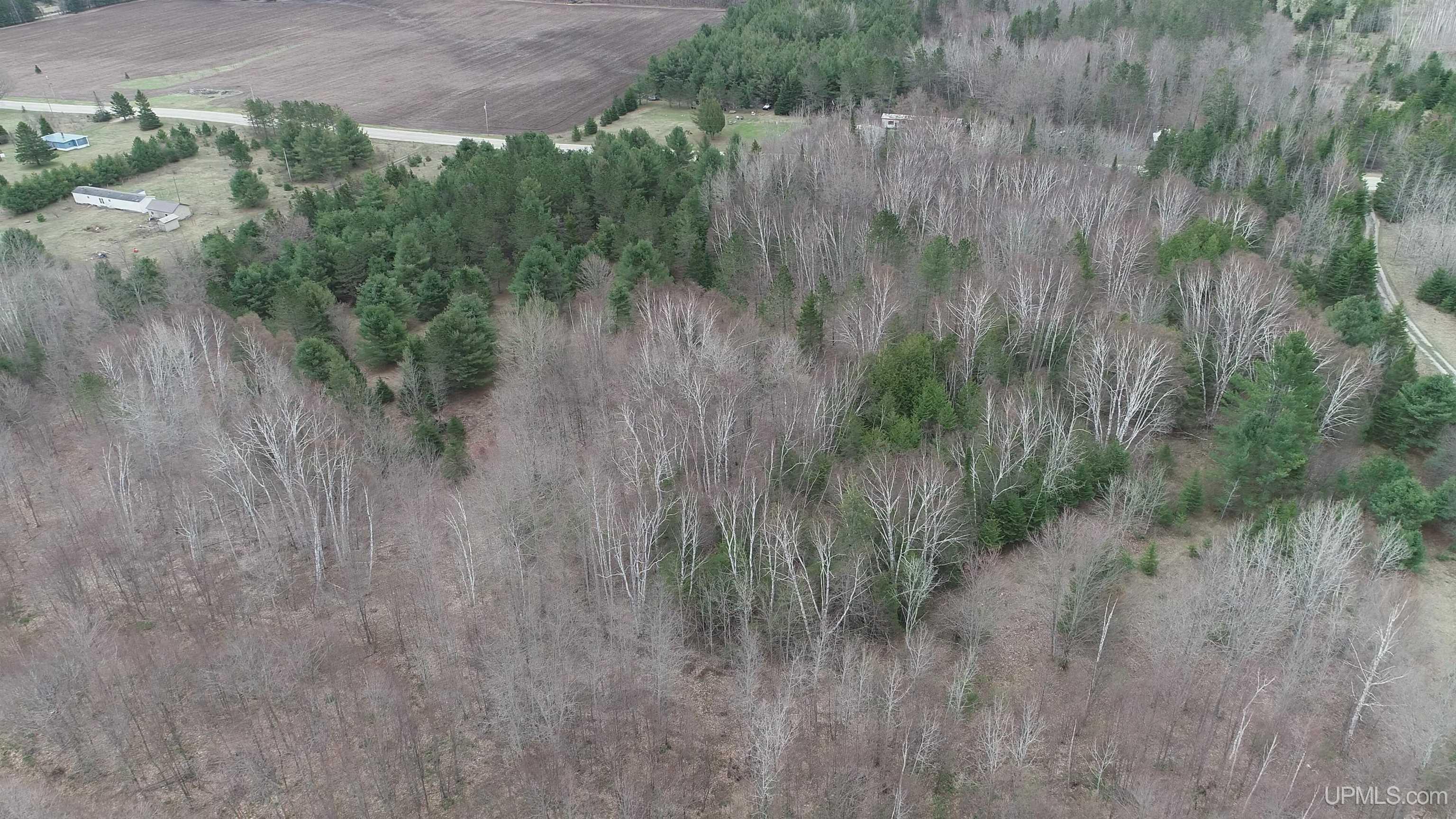 East 20 Quarry Road Gulliver, MI 49840 - Photo 30 of 47