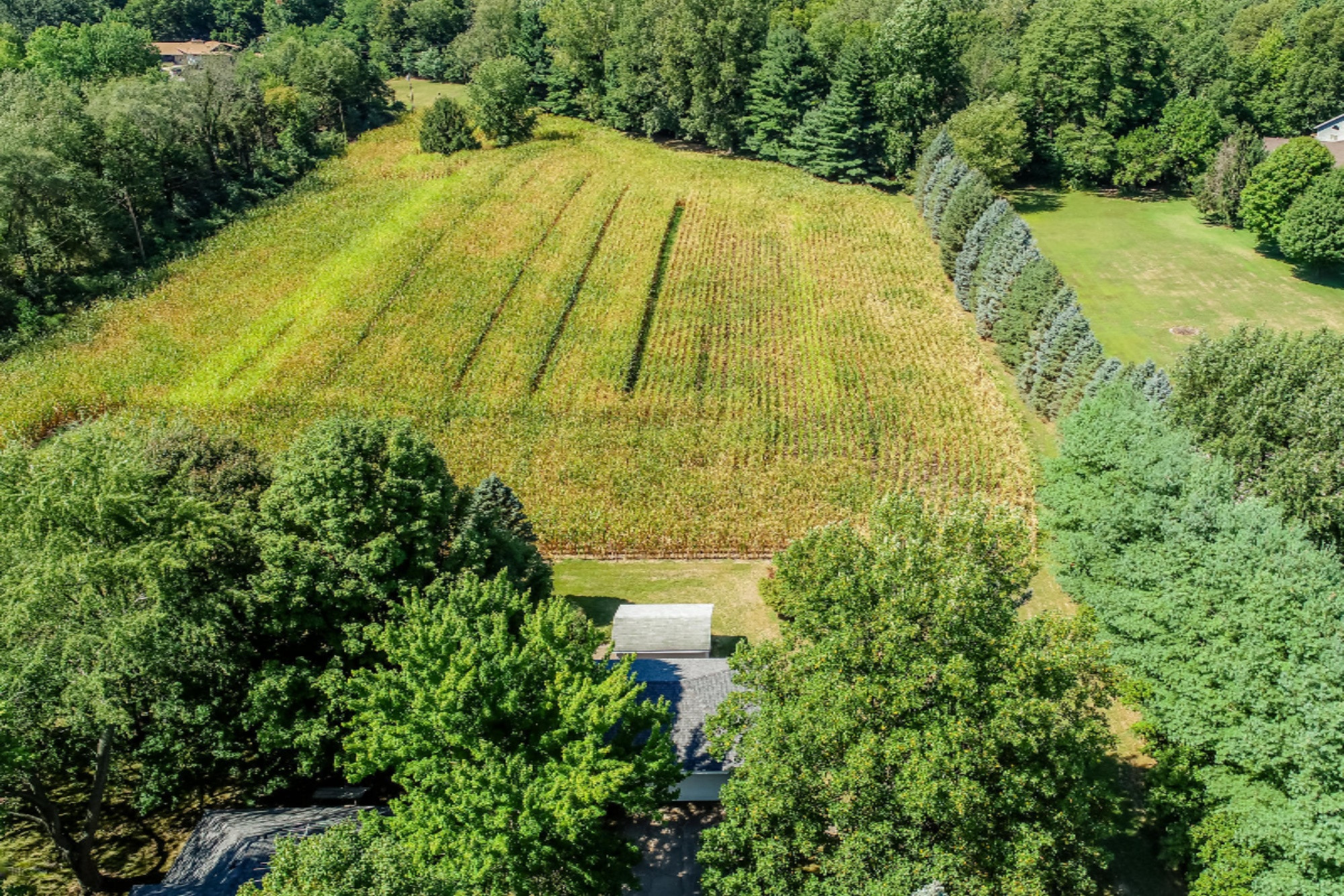 4672 Scottdale Road St. Joseph, MI 49085 - Photo 26 of 45 Scottdale-121