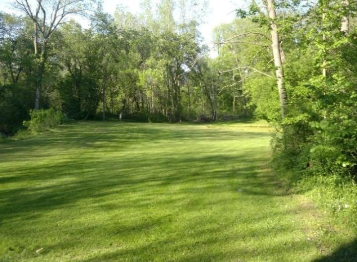 4672 Scottdale Road St. Joseph, MI 49085 - Photo 37 of 45 Cleared bottoms next to creek