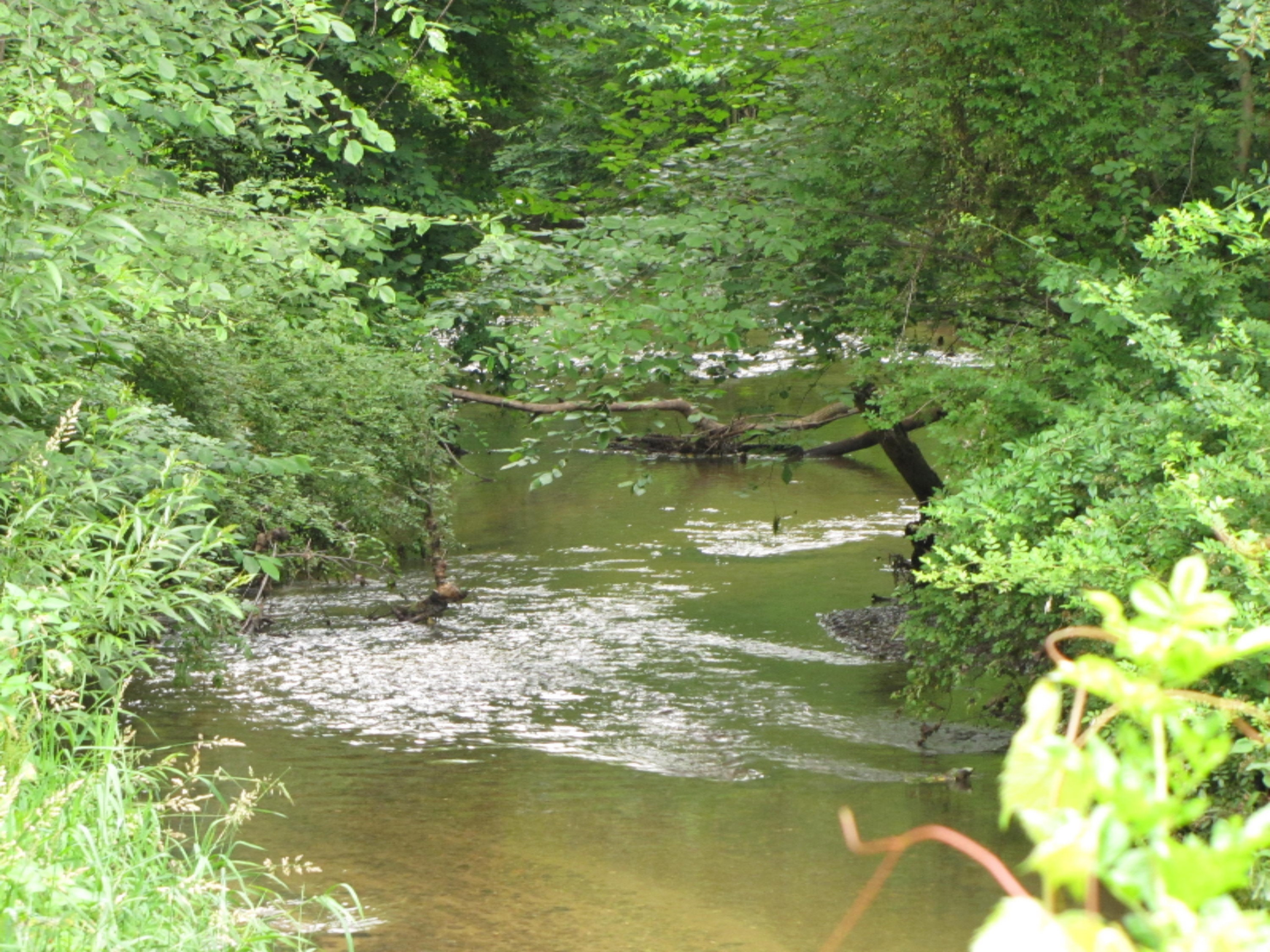 4672 Scottdale Road St. Joseph, MI 49085 - Photo 4 of 45 Creek 1