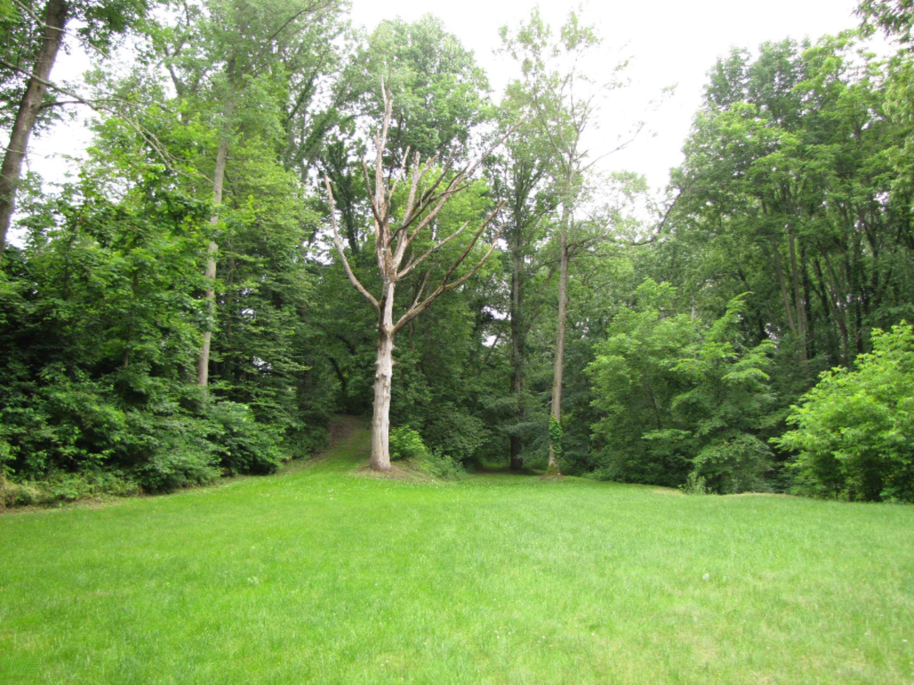 4672 Scottdale Road St. Joseph, MI 49085 - Photo 41 of 45 Land next to creek and spring fed pond