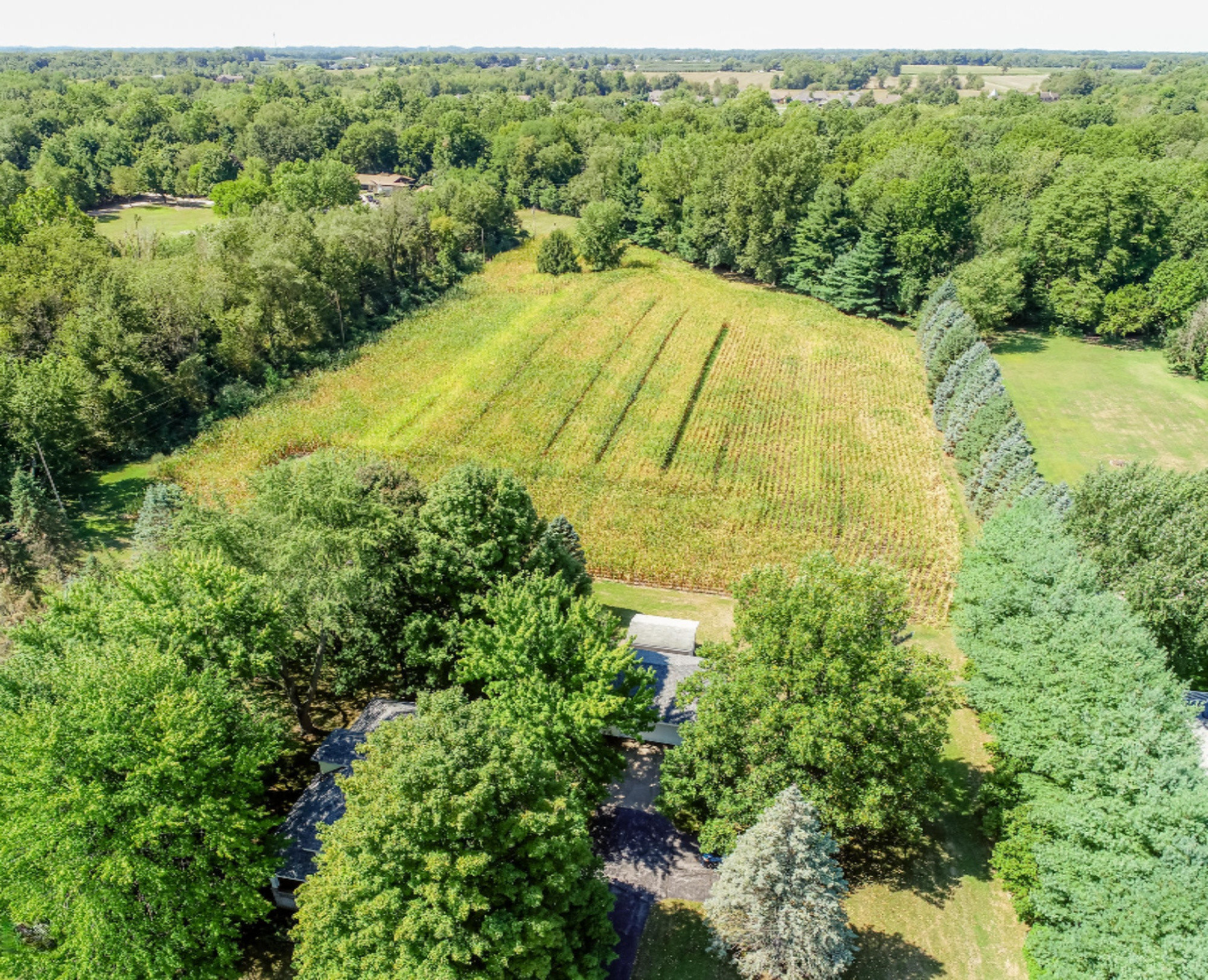 4672 Scottdale Road St. Joseph, MI 49085 - Photo 5 of 45 Scottdale-123