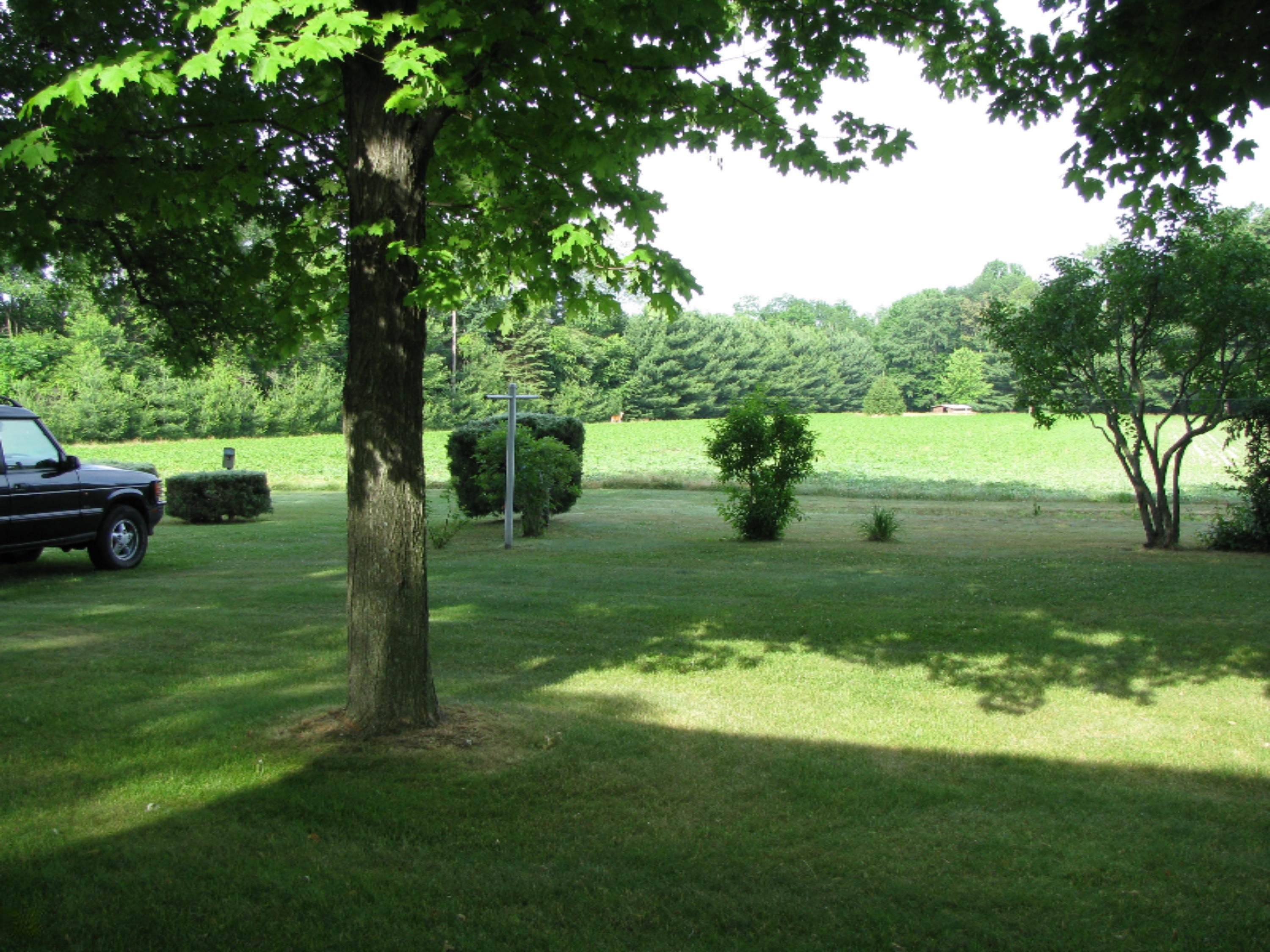4672 Scottdale Road St. Joseph, MI 49085 - Photo 6 of 45 Backyard view of deer in the field