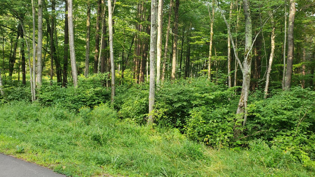 On Wolf Road, Unit LOT 3 Tomahawk, WI 54487 - Photo 1 of 3 Gallery Image 1