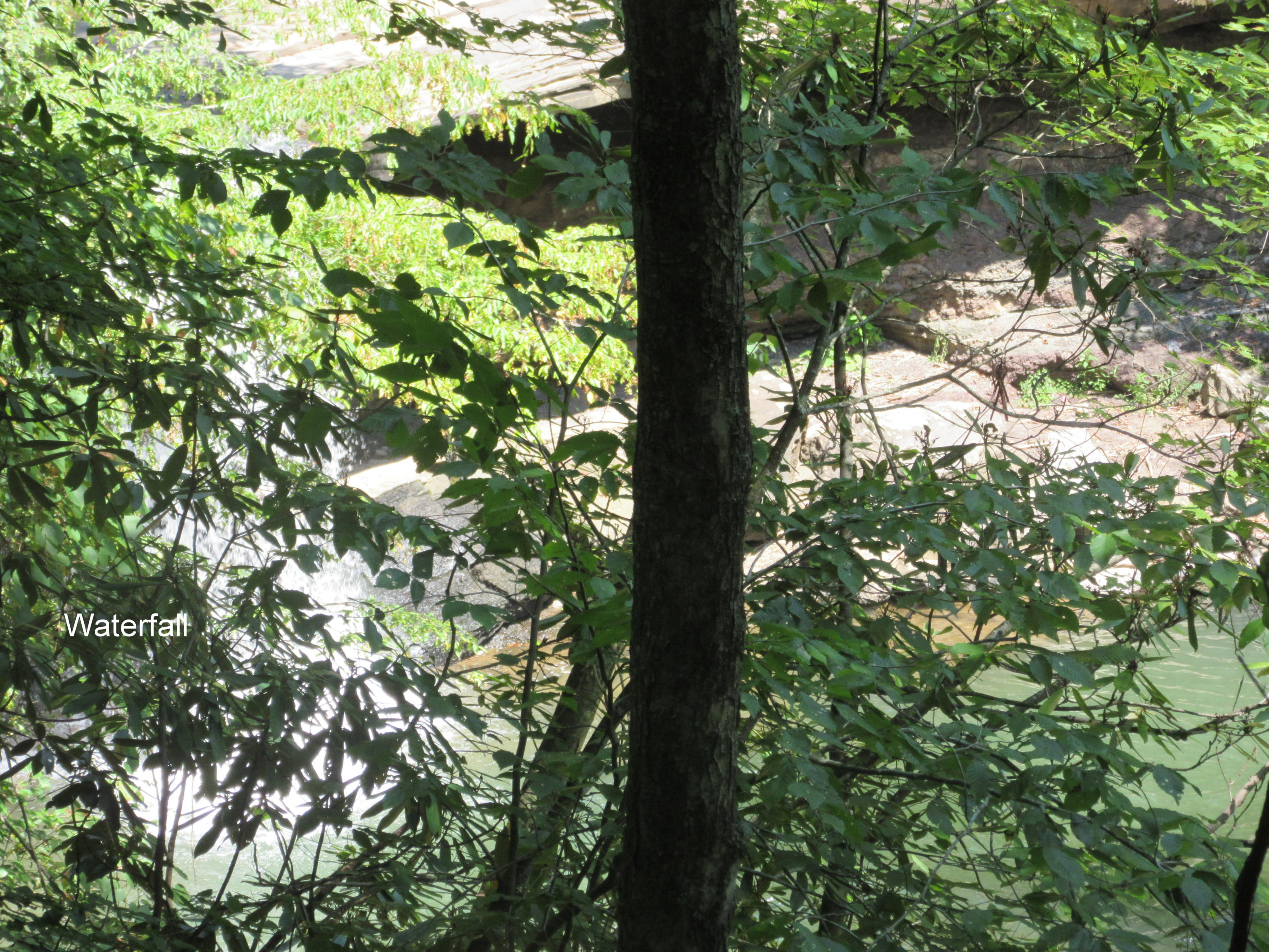 253 Claypool Road Meadow Bridge, WV 25976 - Photo 10 of 15 Gallery Image 10