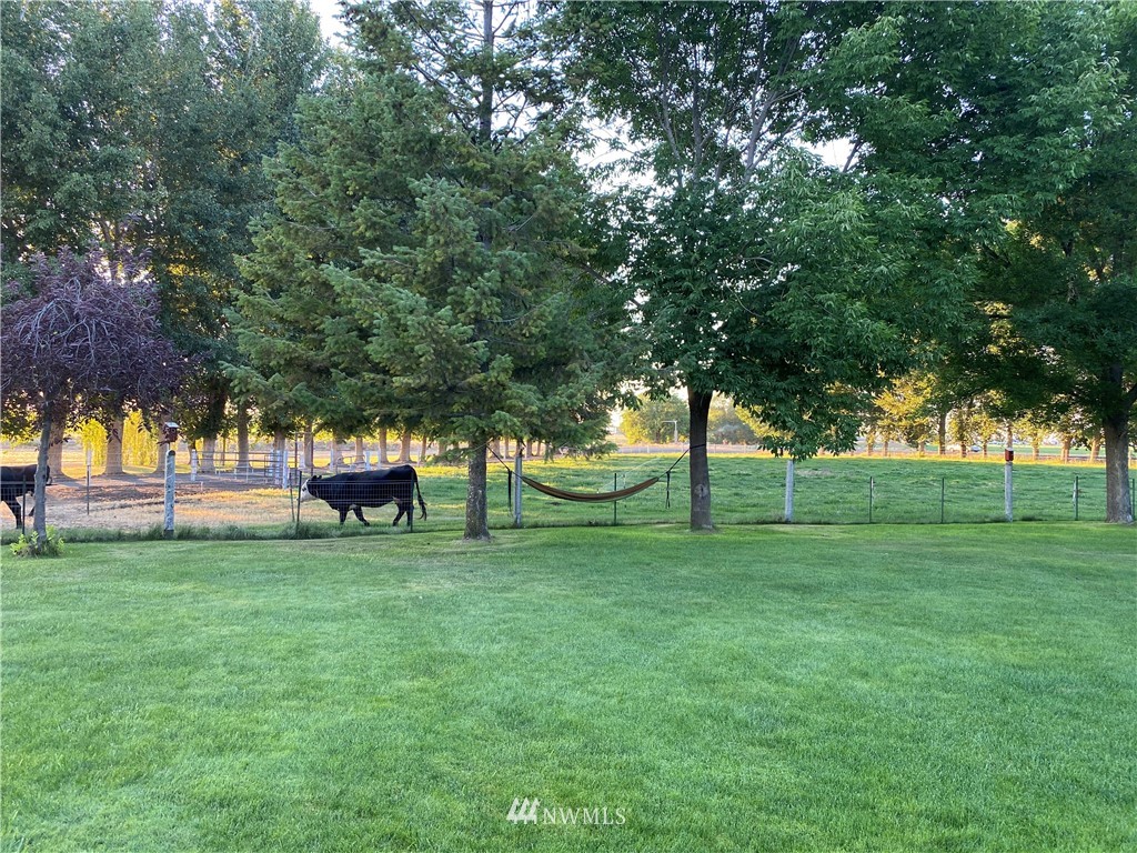 234 Lynn Road Northeast Moses Lake, WA 98837 - Photo 12 of 40 Gallery Image 12