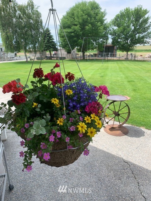 234 Lynn Road Northeast Moses Lake, WA 98837 - Photo 5 of 40 Gallery Image 5
