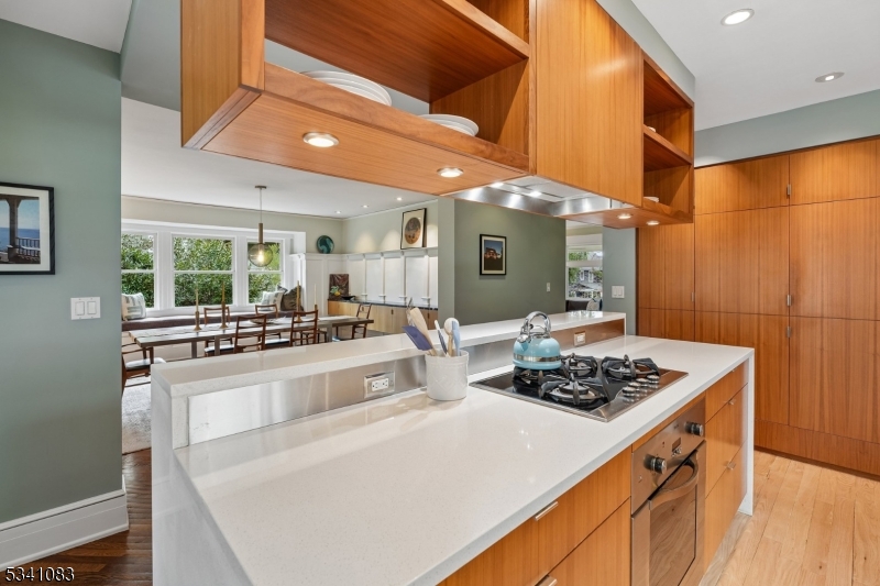 43 Ridgewood Terrace Maplewood, NJ 07040 - Photo 14 of 44