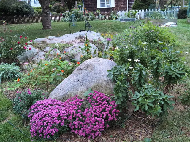 a view of a garden with plants and large trees