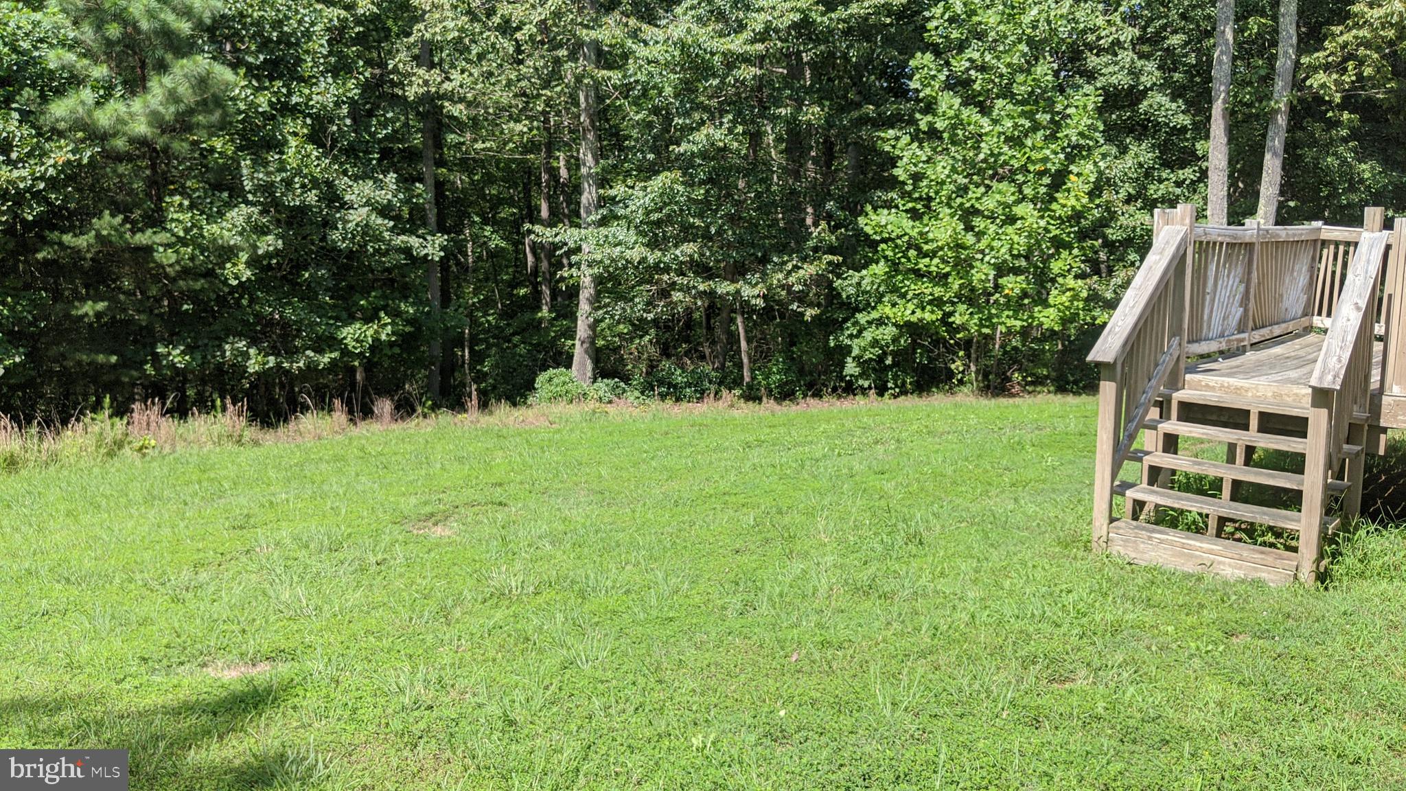 6484 Browning Road Culpeper, VA 22701 - Photo 3 of 13 Rear yard
