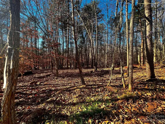a view of a park with large trees