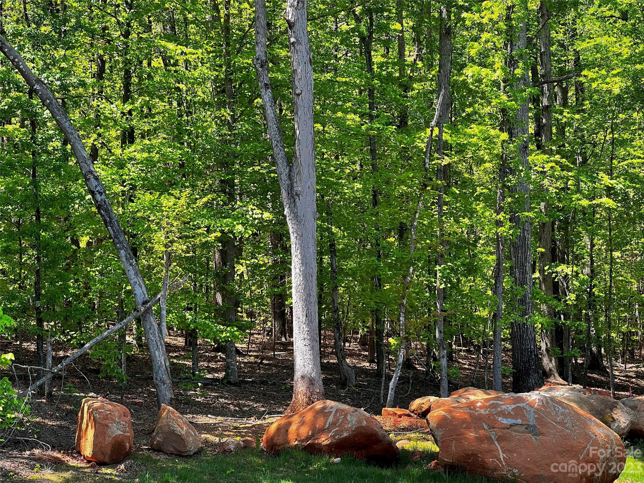 156 Copper Pne Lane, Unit 5 Davidson, NC 28036 - Photo 15 of 21 a view of a yard with plants and trees