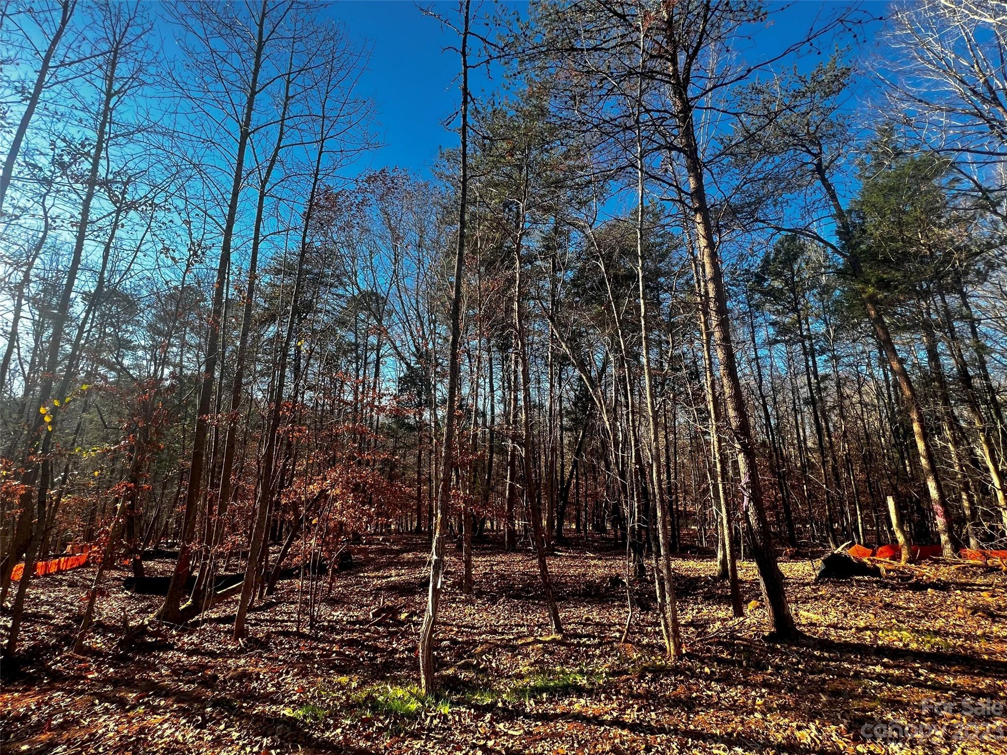 156 Copper Pne Lane, Unit 5 Davidson, NC 28036 - Photo 3 of 21 a view of a yard with plants and trees
