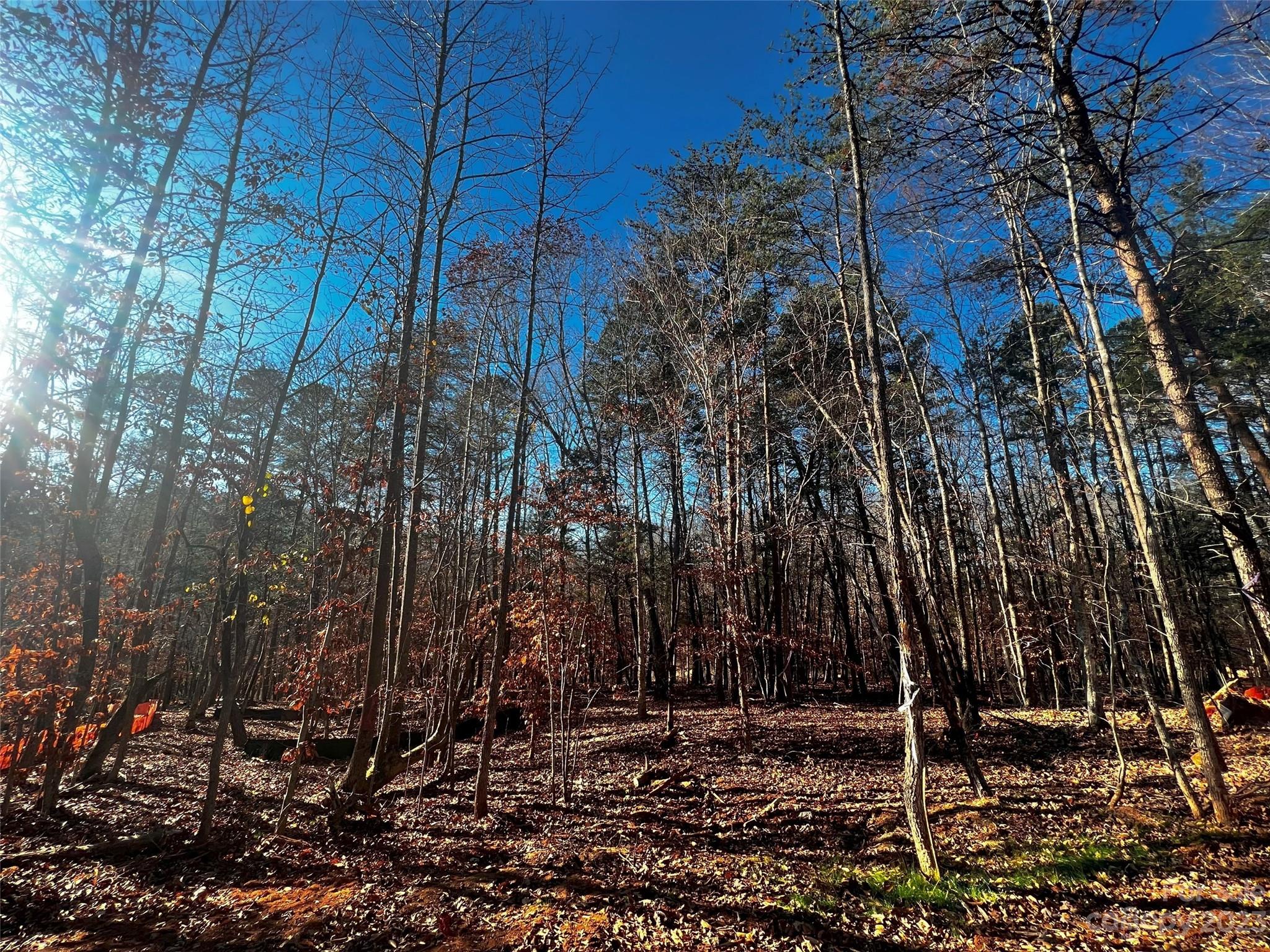 156 Copper Pne Lane, Unit 5 Davidson, NC 28036 - Photo 5 of 21 a backyard of a house with lots of green space
