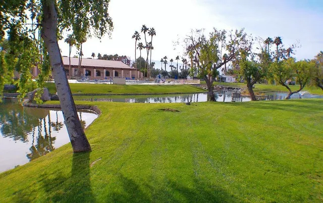 a view of a swimming pool with a garden and trees