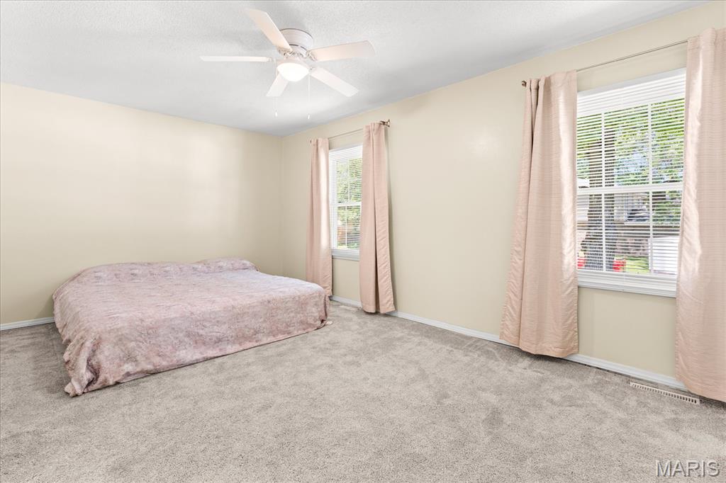 904 Fort Henry Road Belleville, IL 62221 - Photo 16 of 35