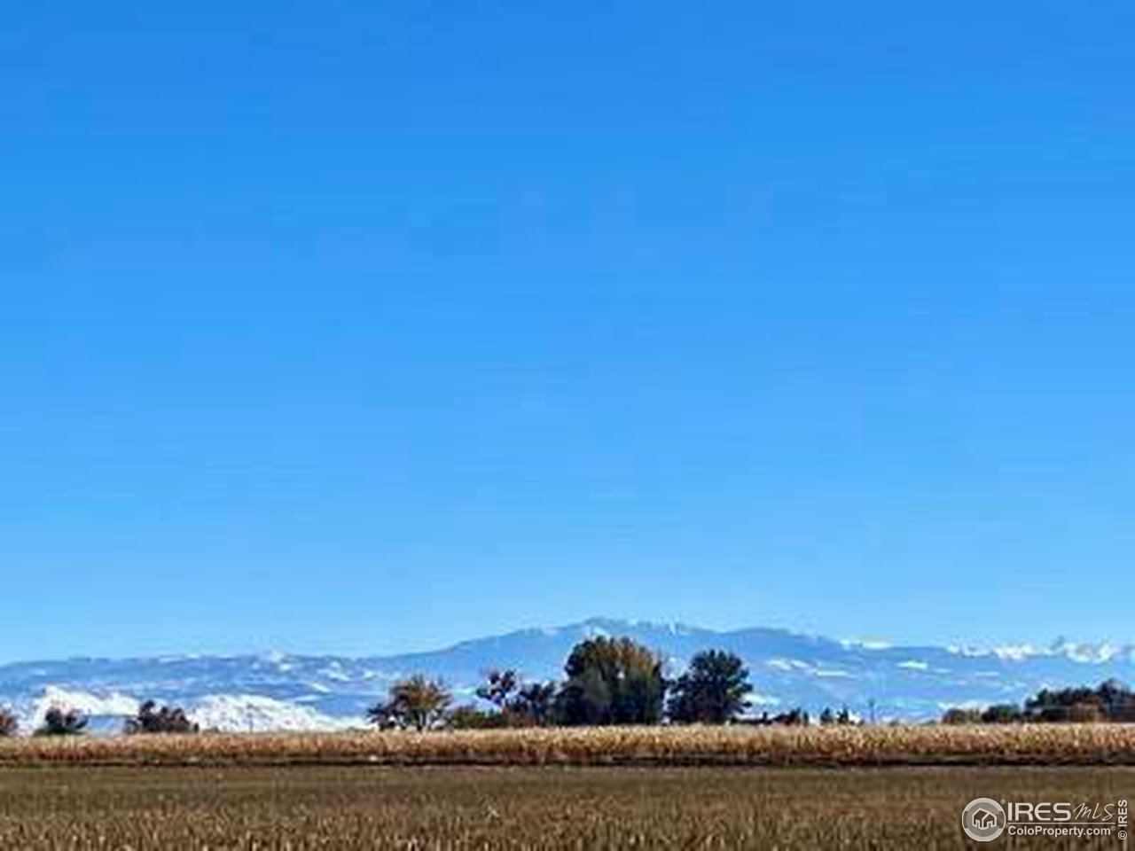 1 Banner Road Olathe, CO 81425 - Photo 6 of 11
