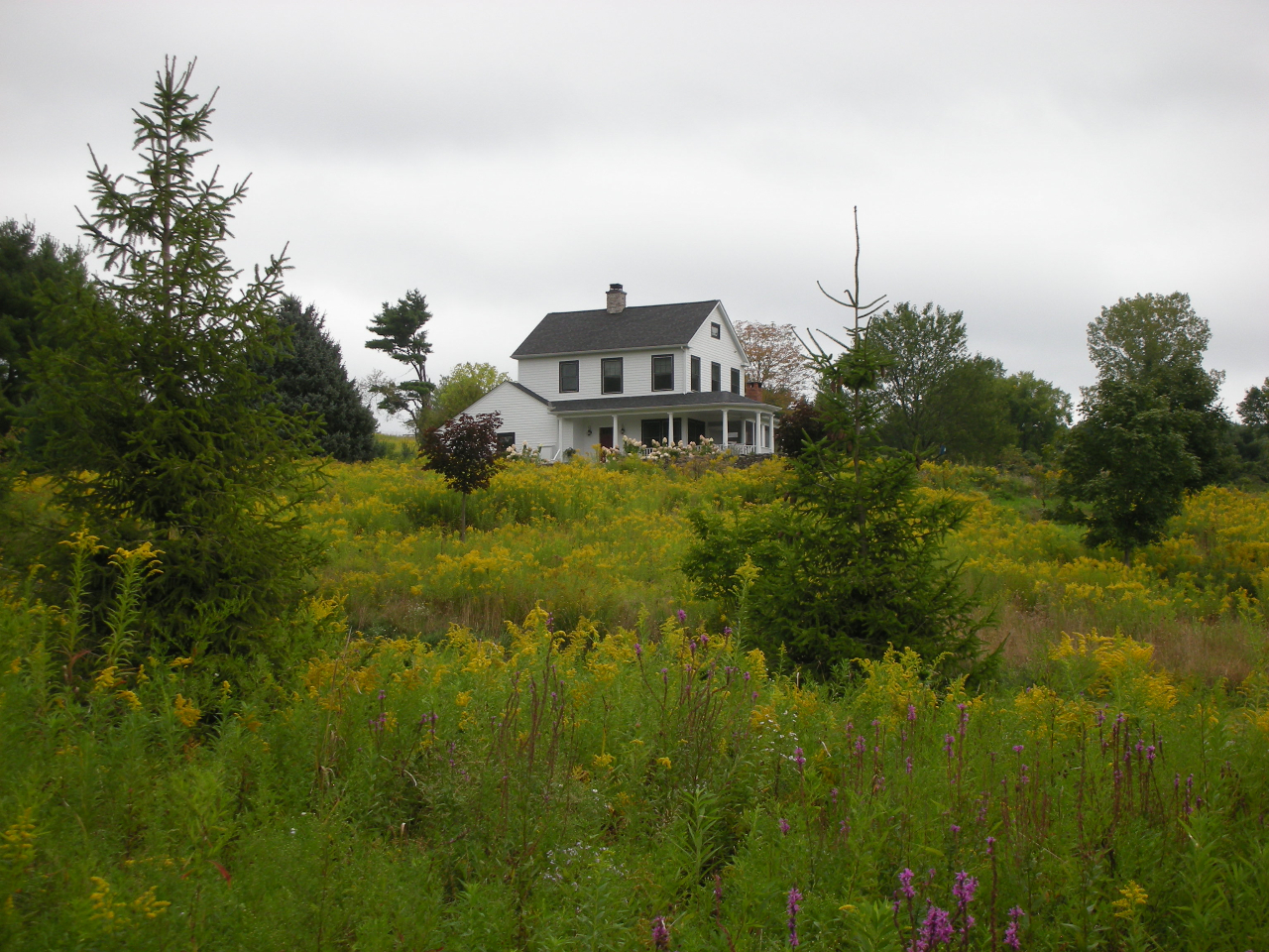 85 Hurlburt Road Great Barrington, MA 01230 - Photo 29 of 38 DSCN2526