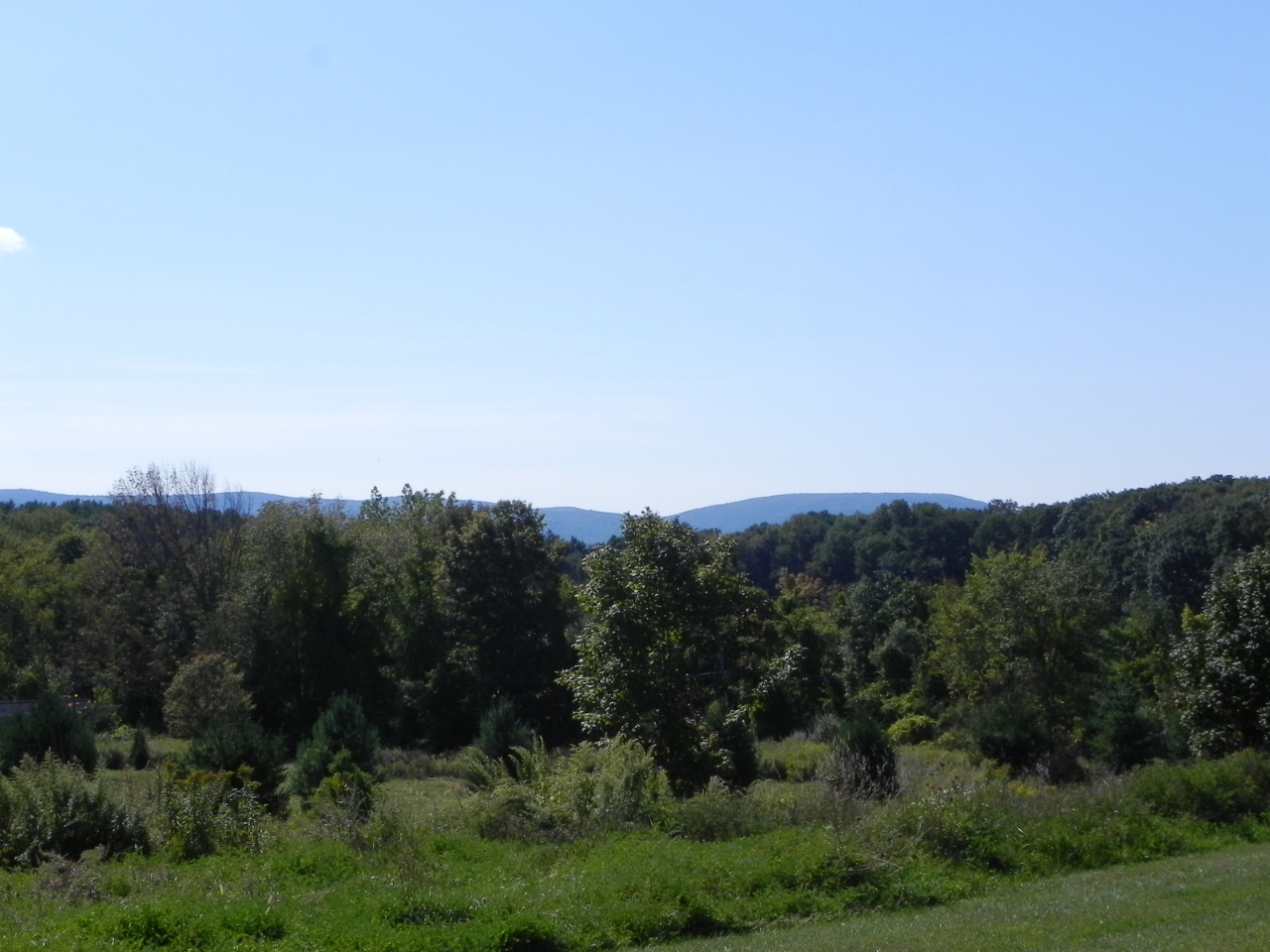 85 Hurlburt Road Great Barrington, MA 01230 - Photo 36 of 38 DSCN3228