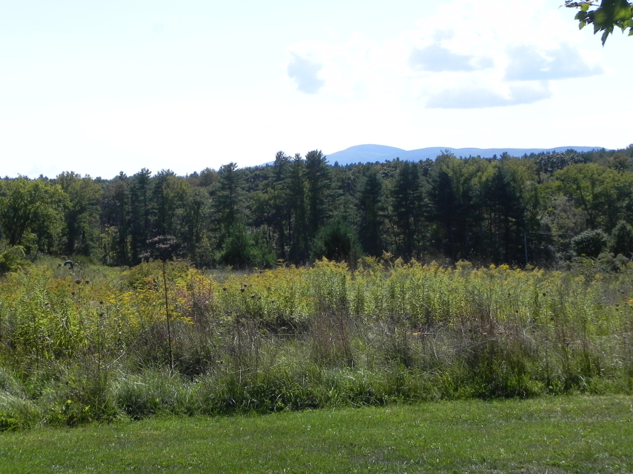 85 Hurlburt Road Great Barrington, MA 01230 - Photo 37 of 38 DSCN3231