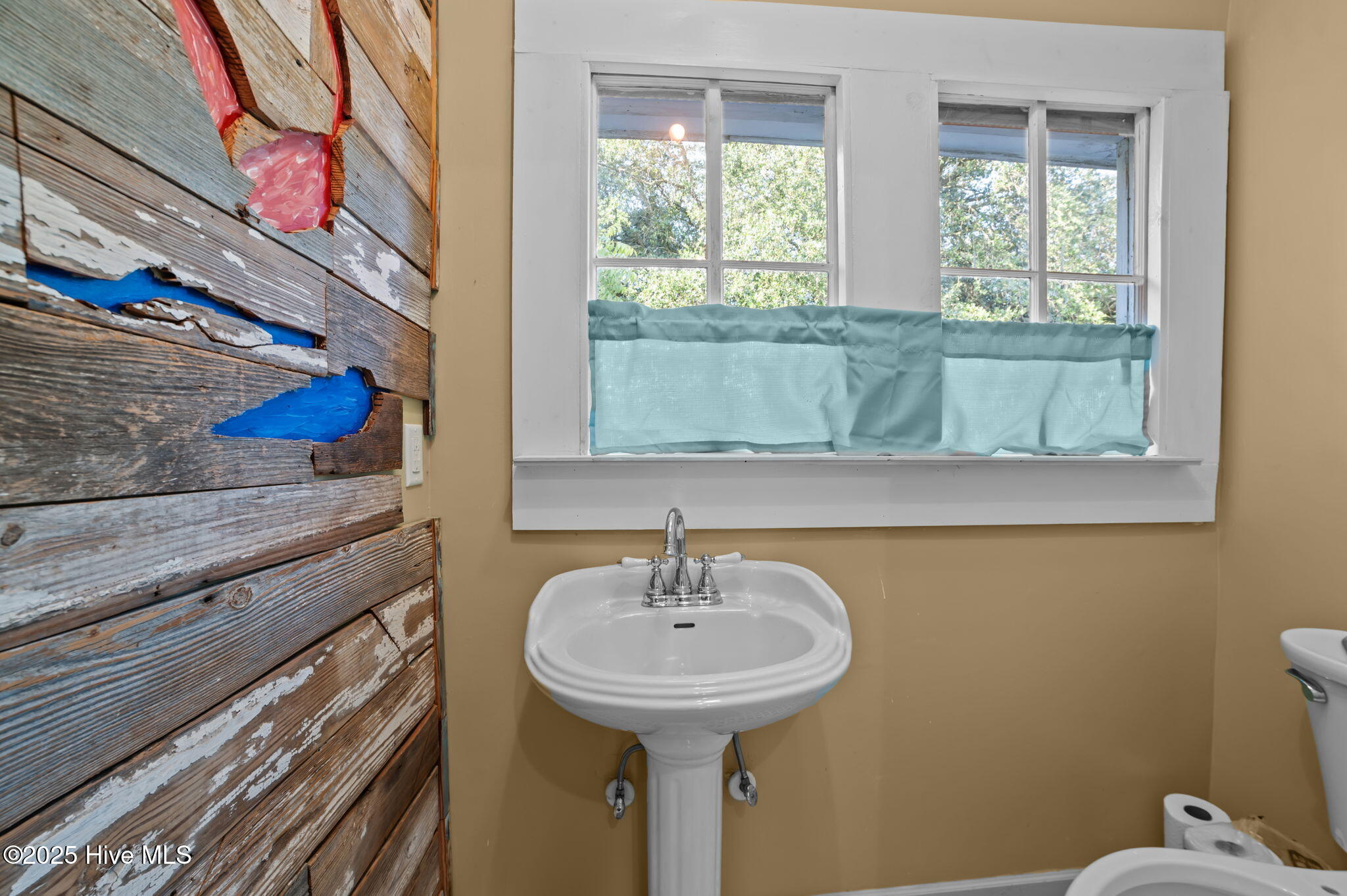 219 East 3rd Street Washington, NC 27889 - Photo 46 of 56 46-web-or-mls-LHV_5471