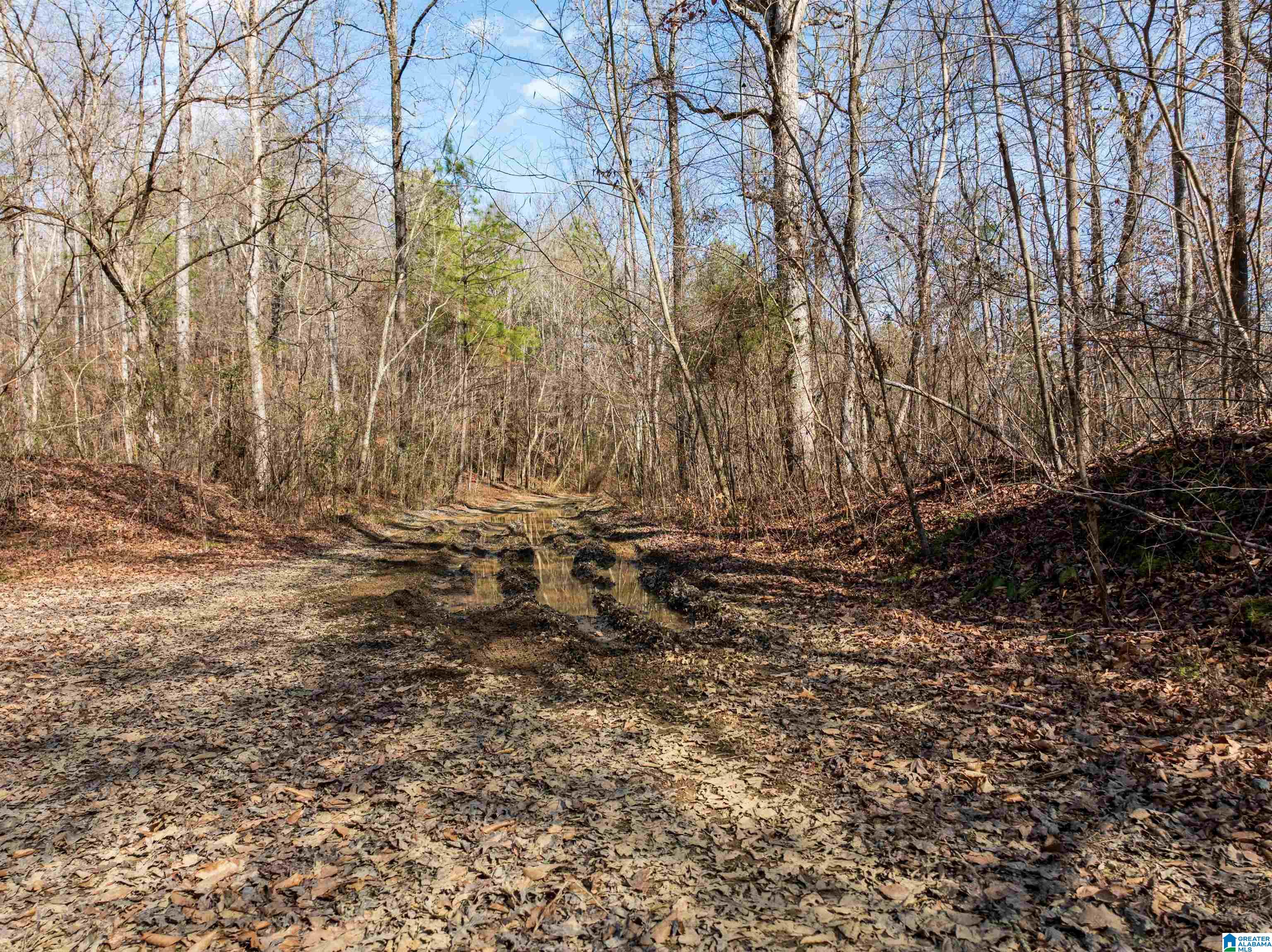 0 Red Hill Road, Unit 15 Oakman, AL 35579 - Photo 9 of 14