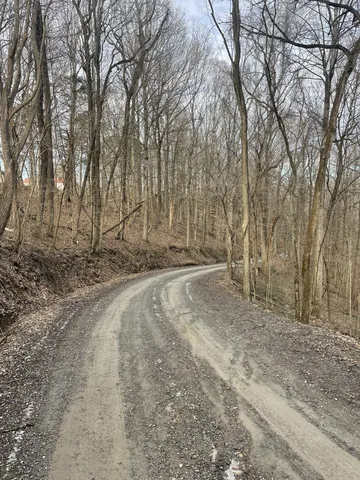 a view of a yard with trees
