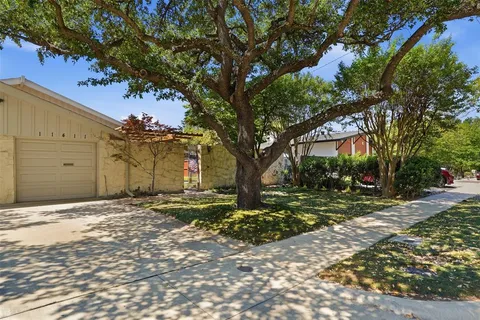 a big tree in middle of the garden