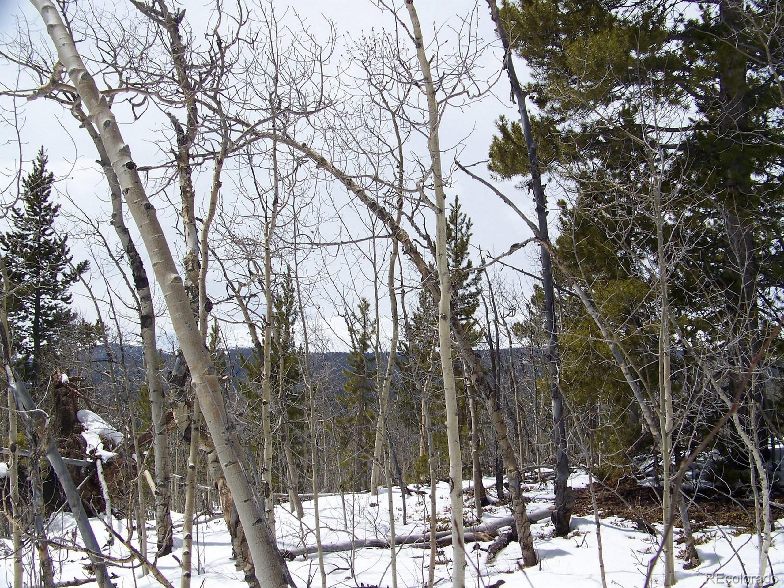 22 Ponderosa Road Fairplay, CO 80440 - Photo 12 of 28 Gallery Image 12
