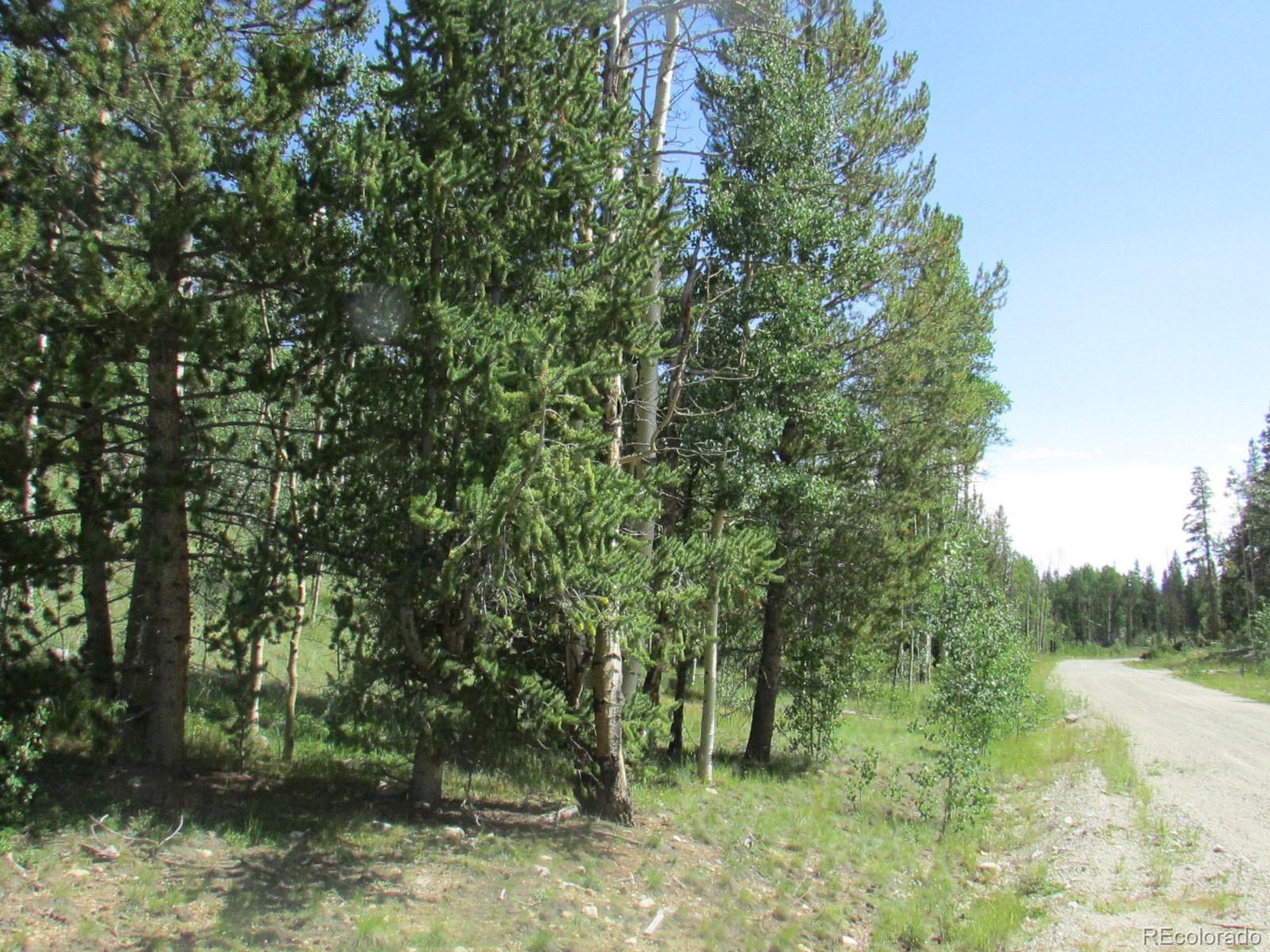 22 Ponderosa Road Fairplay, CO 80440 - Photo 18 of 28 Gallery Image 18
