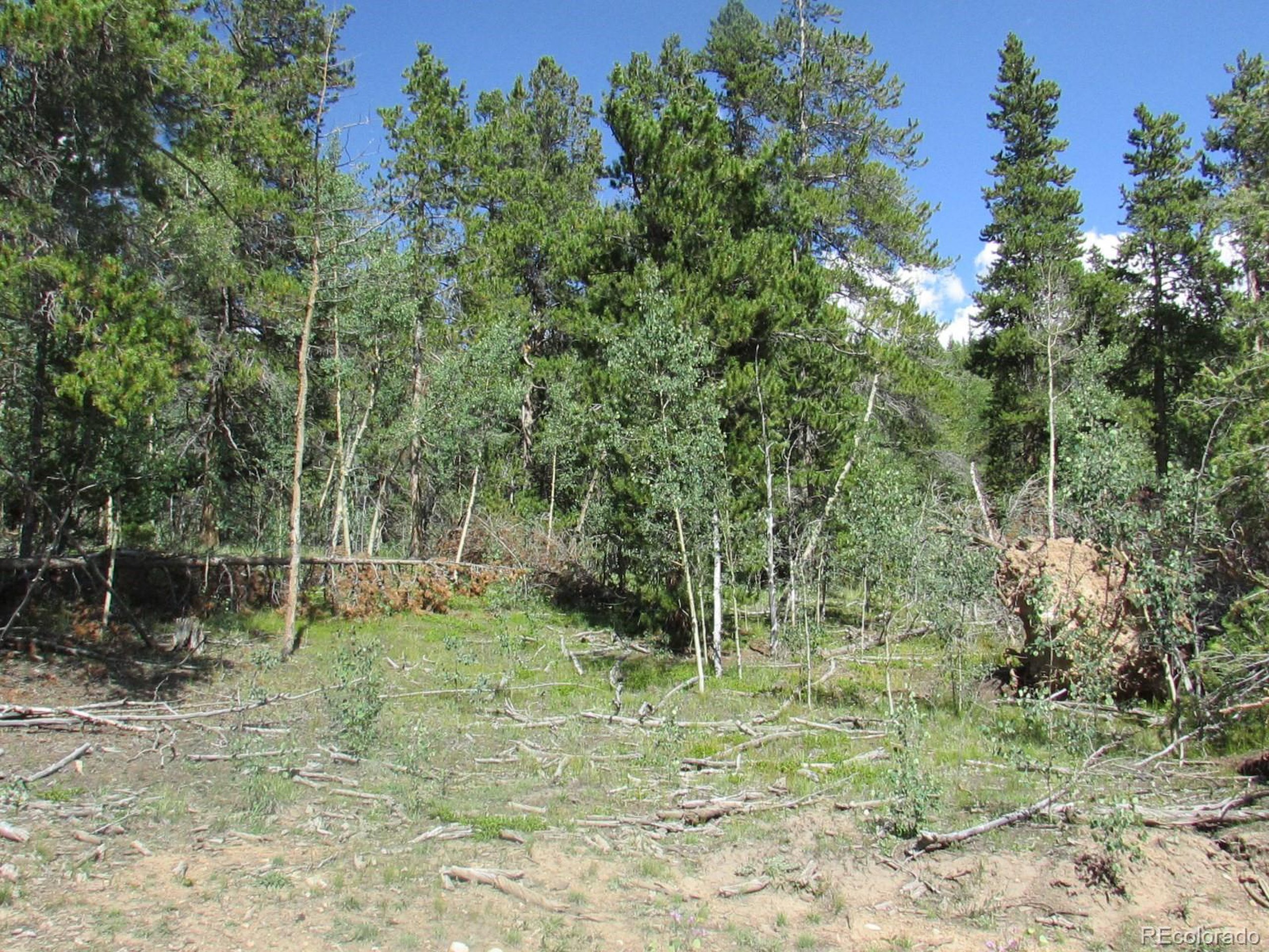 22 Ponderosa Road Fairplay, CO 80440 - Photo 24 of 28 Gallery Image 24