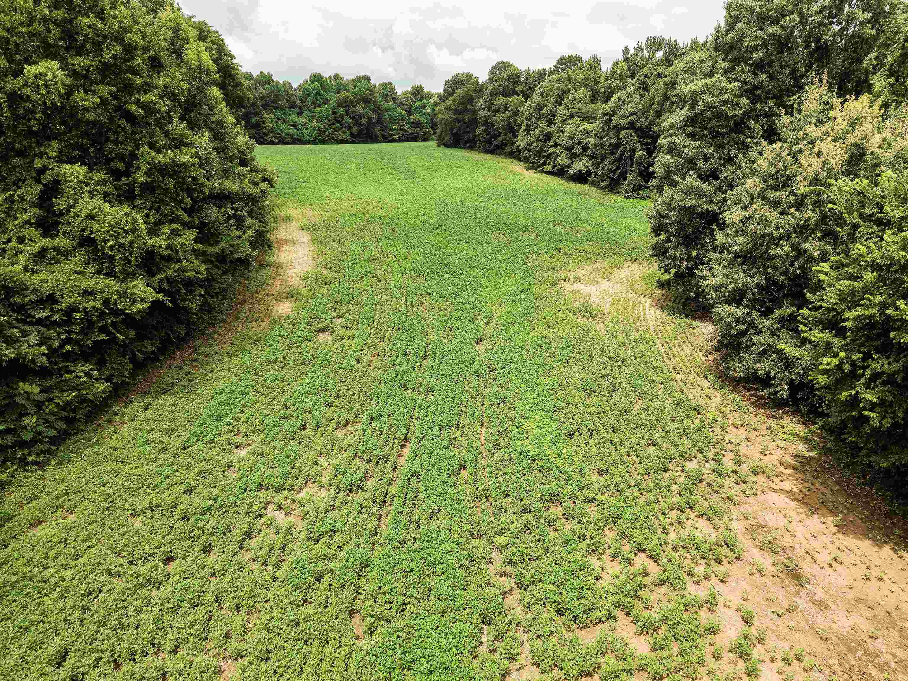0 Mae Sigma Road Brighton, TN 38011 - Photo 11 of 35