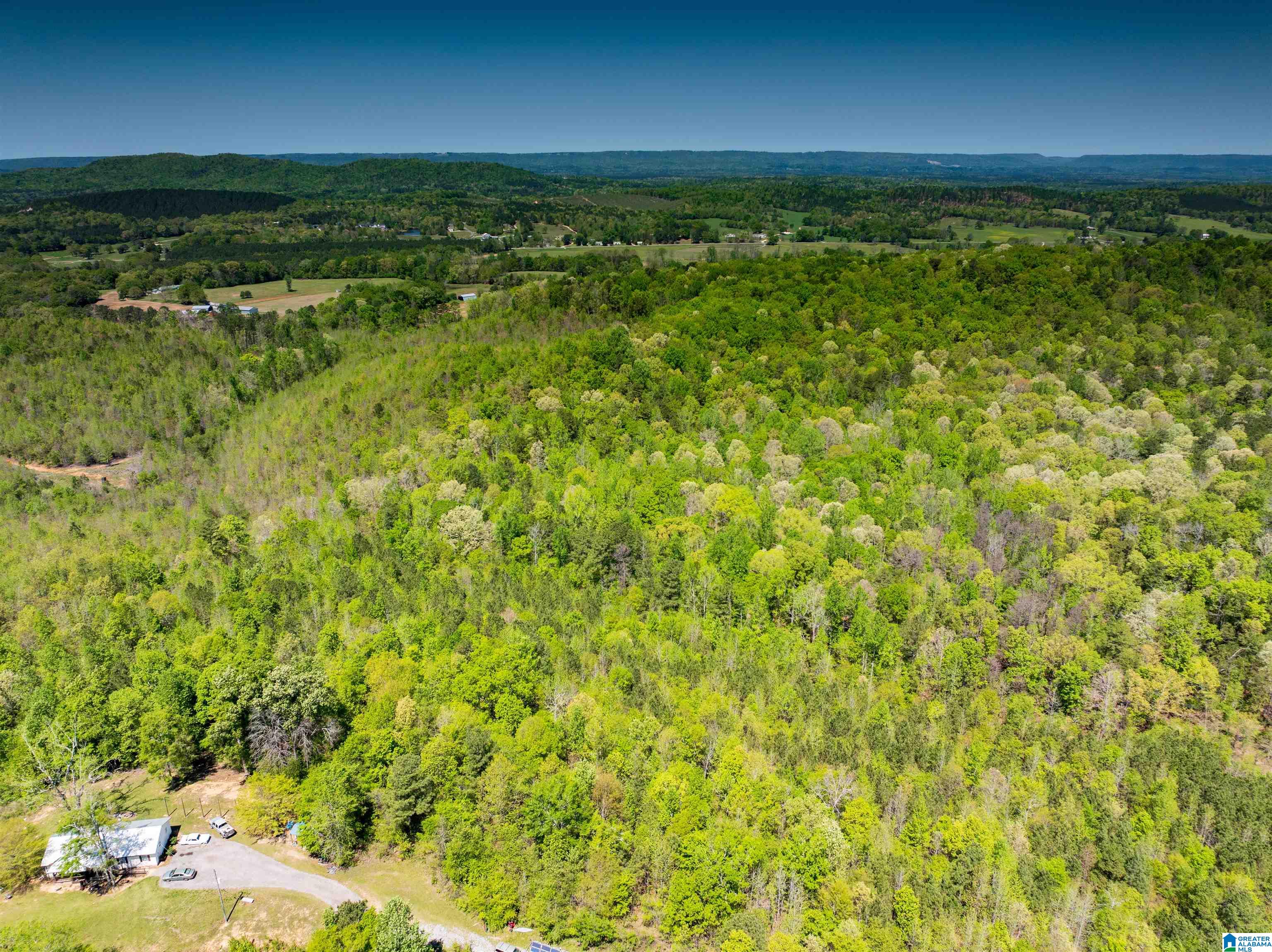 0 Pike Hill Road Ashville, AL 35953 - Photo 13 of 22