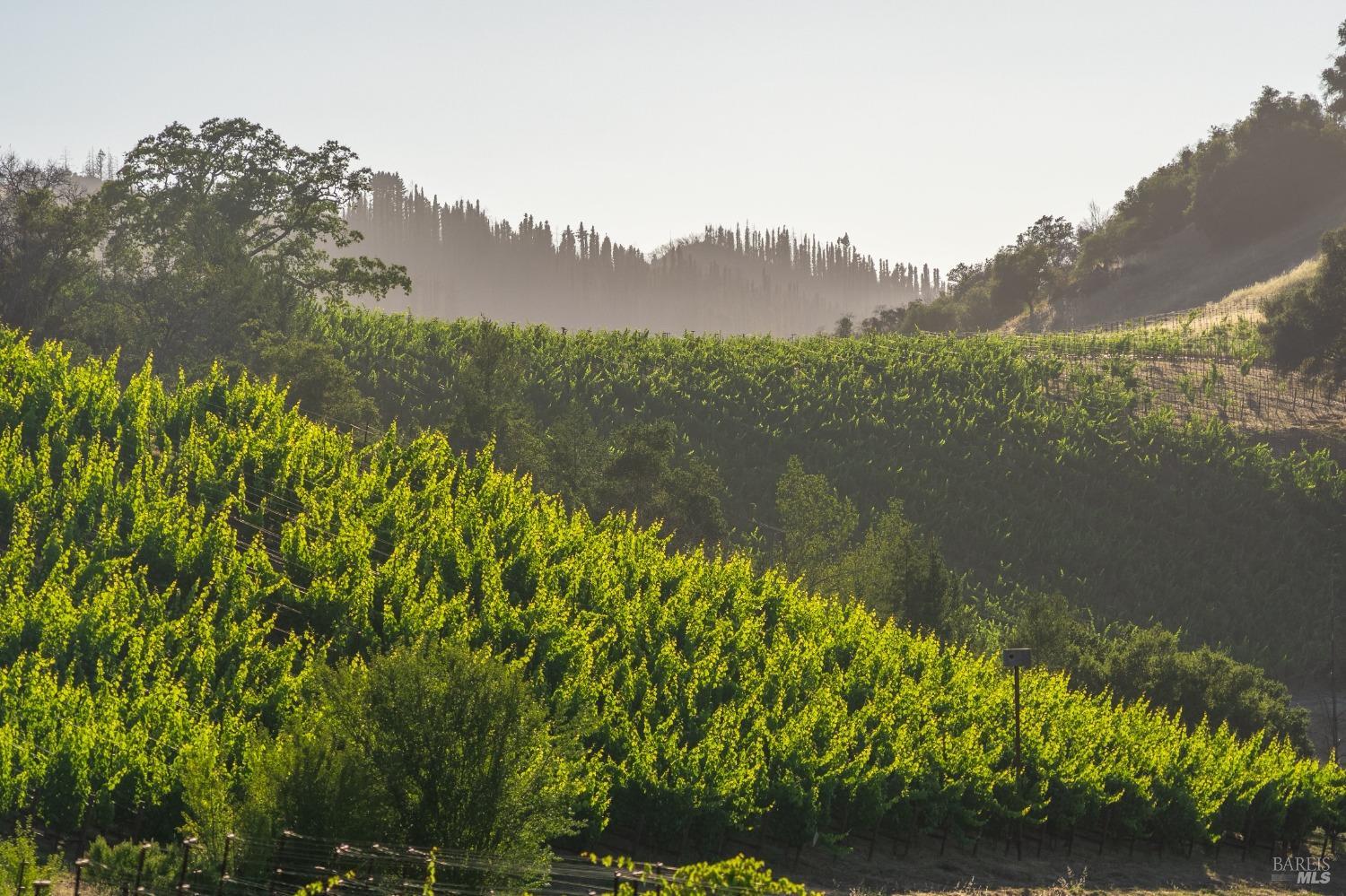 5000 Alpine Road Santa Rosa, CA 95404 - Photo 11 of 34 a view of a lake with a mountain in the background