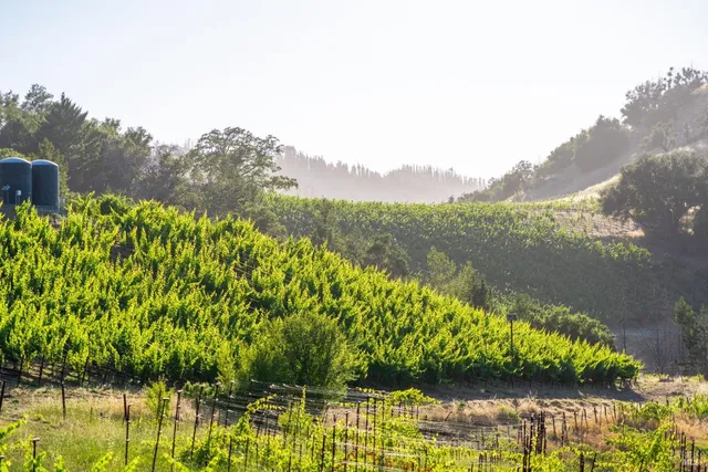a view of a lake with a mountain in the background