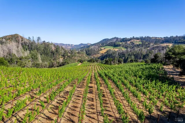 a view of a yard with an outdoor space