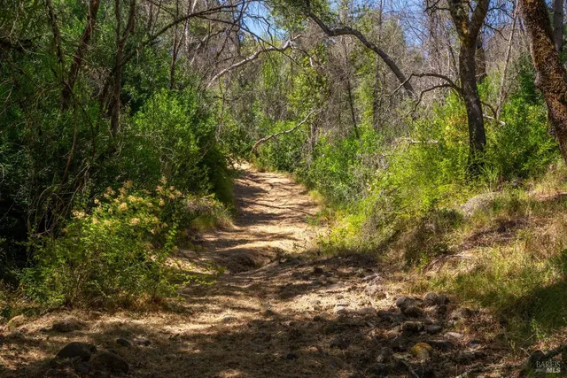 an aerial view of residential house with outdoor space and trees all around