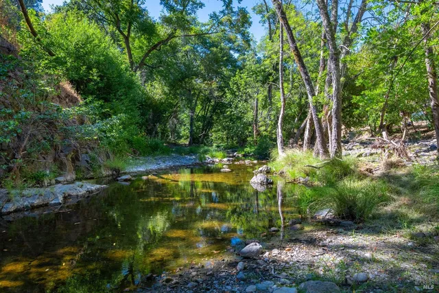 a backyard of a house with lots of green space