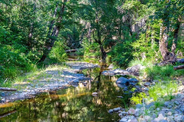 a front view of house