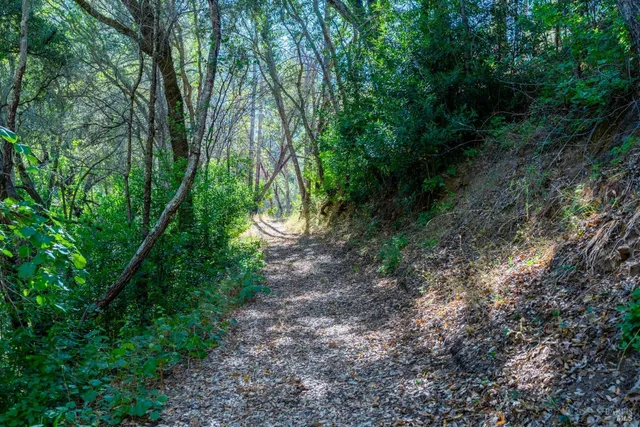 a view of swimming pool with a yard
