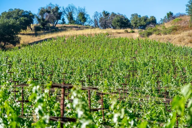 a view of a back yard of the house and green space