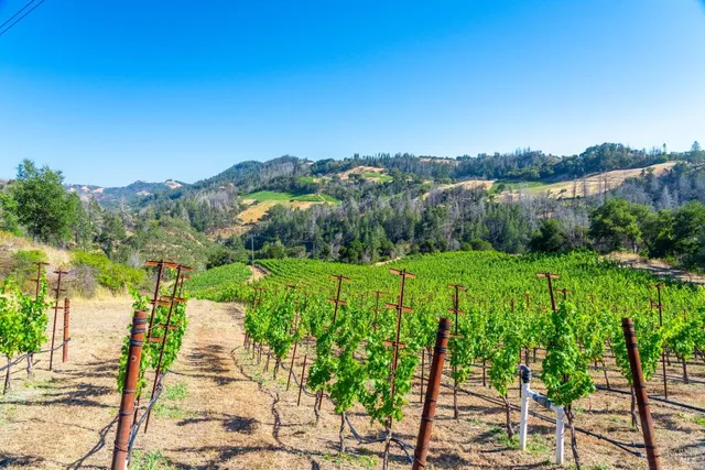 a view of a street with a garden