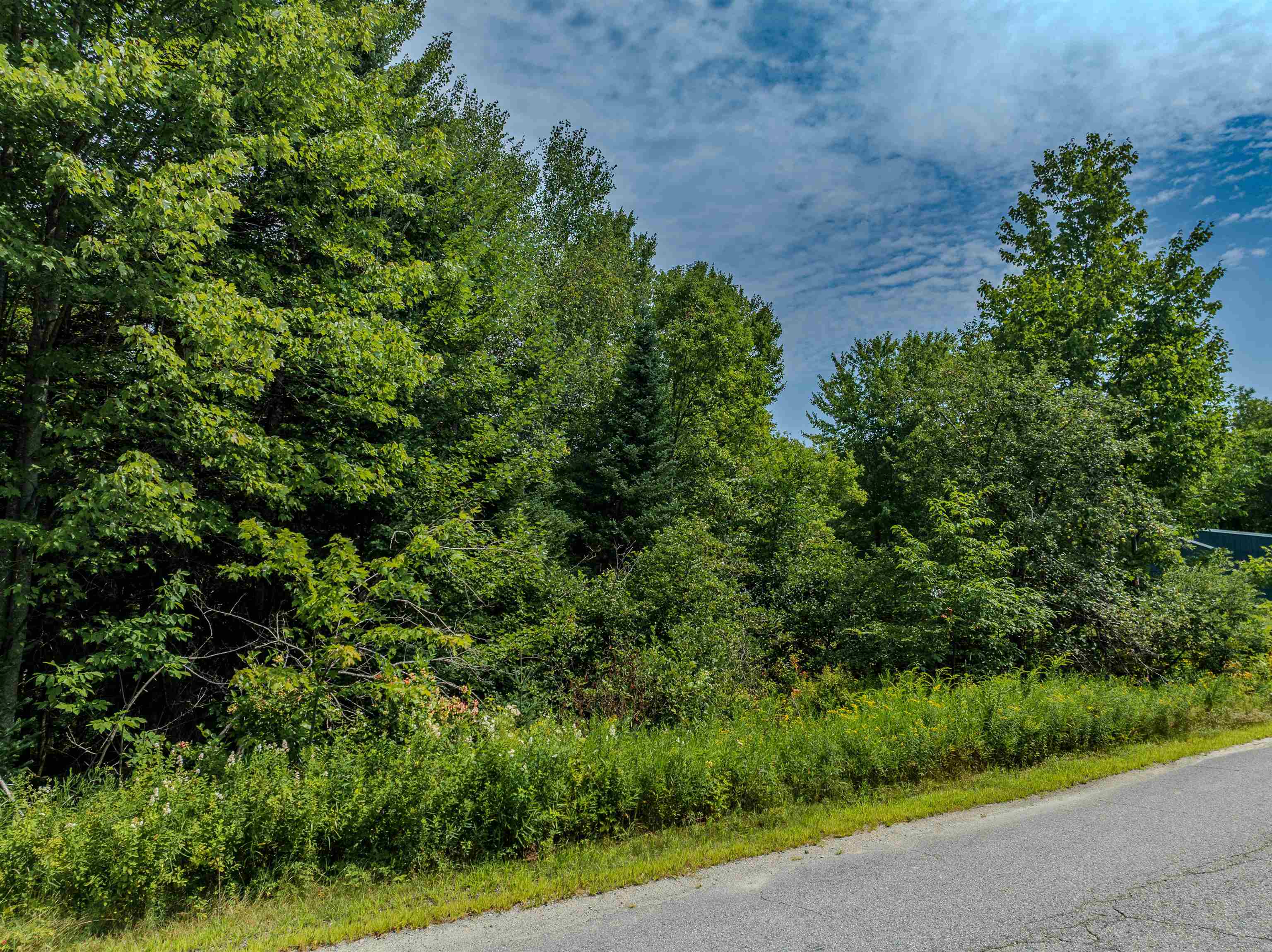 0 French Road Dalton, NH 03598 - Photo 8 of 21 Gallery Image 8